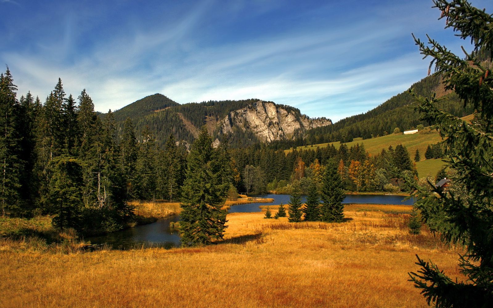 高校体育科研项目管理体系优化研究,高校体育科研项目管理体系优化研究报告