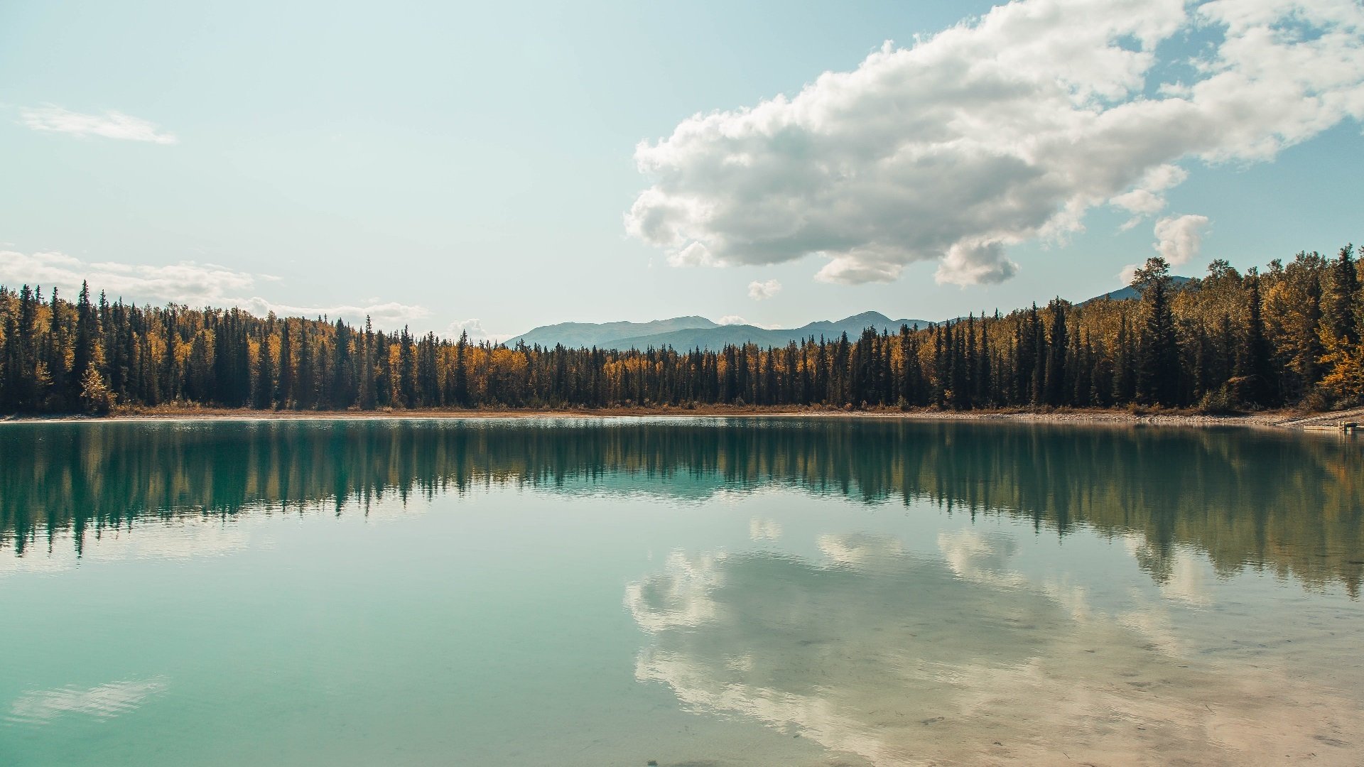 亚洲杯U23国足迎战 球迷期待延续佳绩,亚足联u23亚洲杯