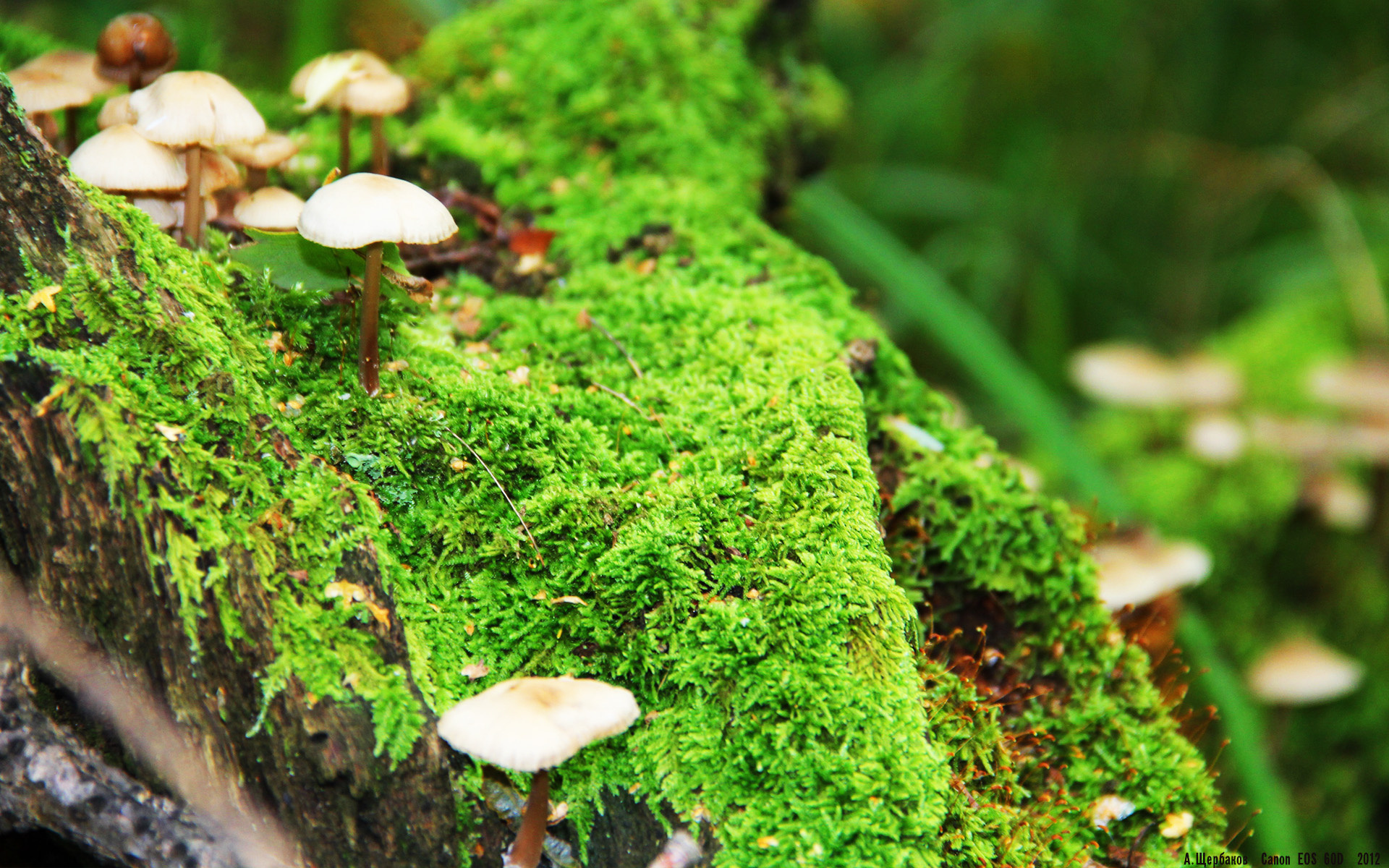 华体会app下载-仰泳技术进化，入水角度更为精准，仰泳入门教程