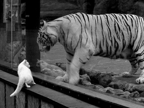 关键扑救帮助切尔西守住胜果,切尔西失球