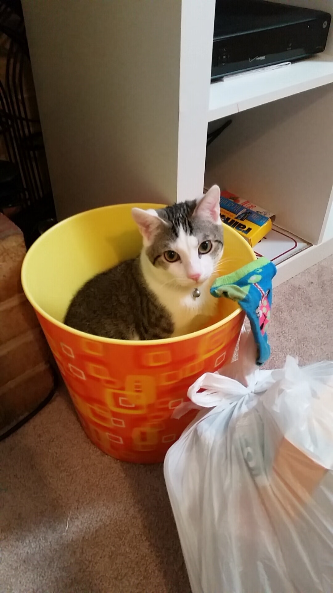 快节奏比赛中如何避免传球过多导致失误,传快球时主要用什么对传出球的高度和速度进行控制