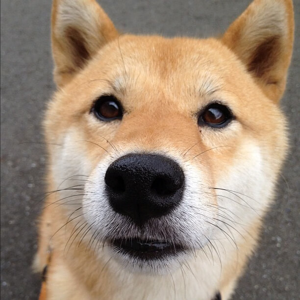 快节奏比赛中如何避免传球过多导致失误,传快球时主要用什么对传出球的高度和速度进行控制