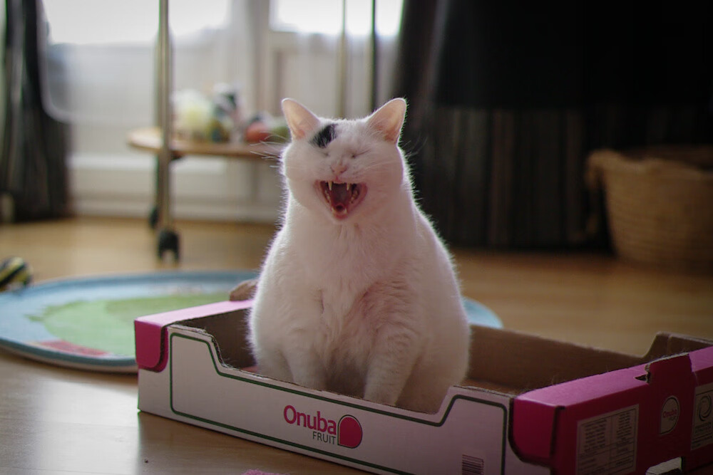 华体会app安装-凯尔特人进行专项防守训练强化轮转意识，18年凯尔特人防守效率