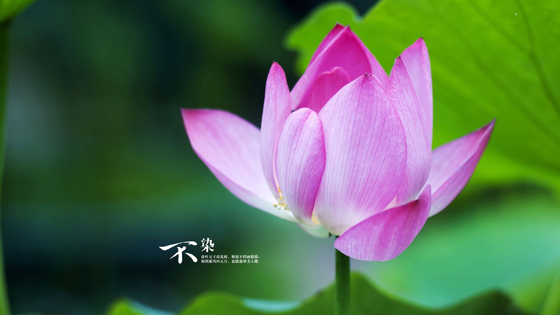 华体会官网入口-女子篮球推动家校沟通机制构建成长支持网络，家校篮球赛方案