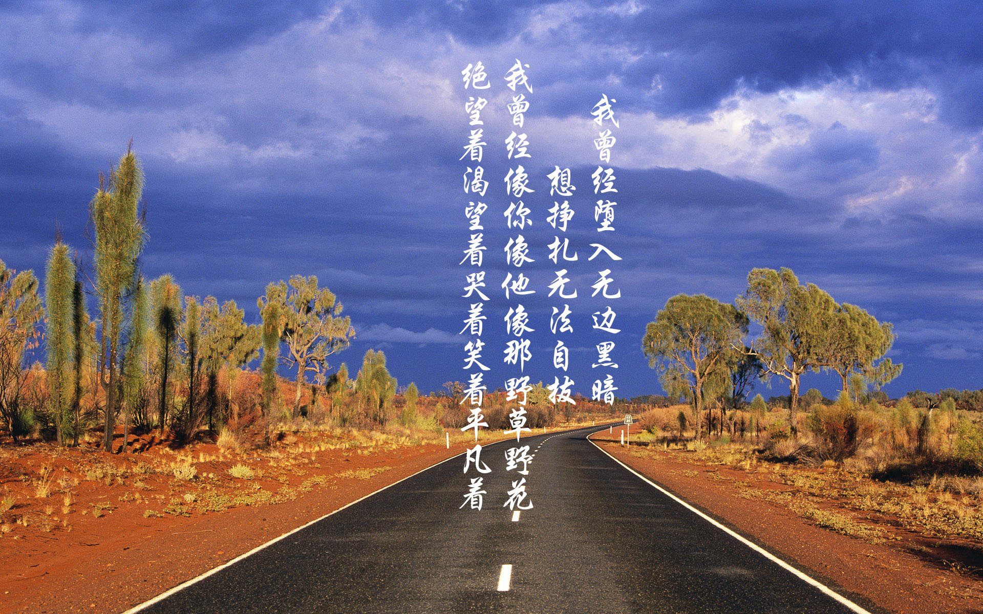 德甲精彩场面:攻防瞬间,激情无限!,德甲 打架