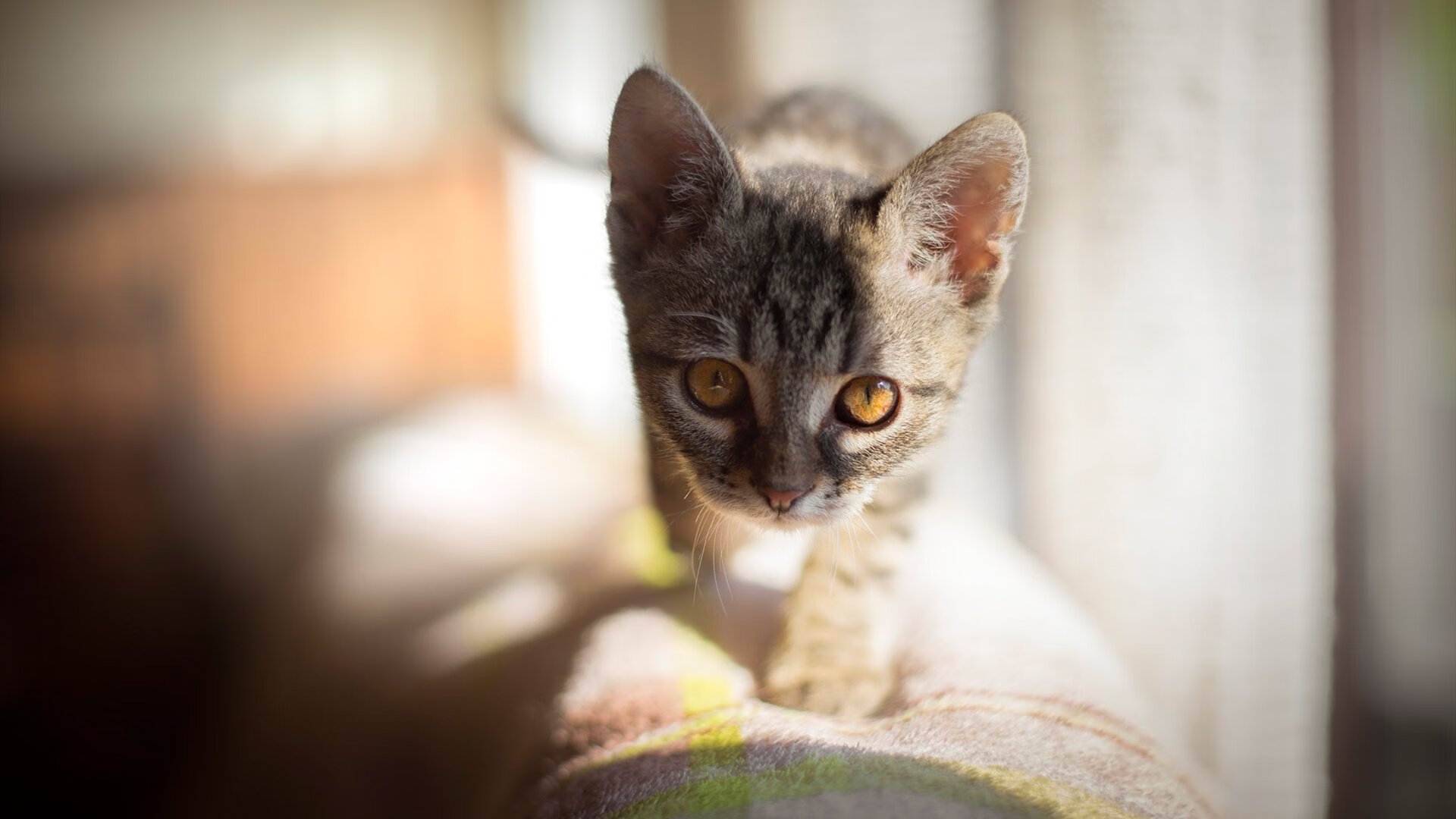 球员在赛后发布感谢信向球迷表达敬意传递正能量情感,感谢球员辛苦付出的话