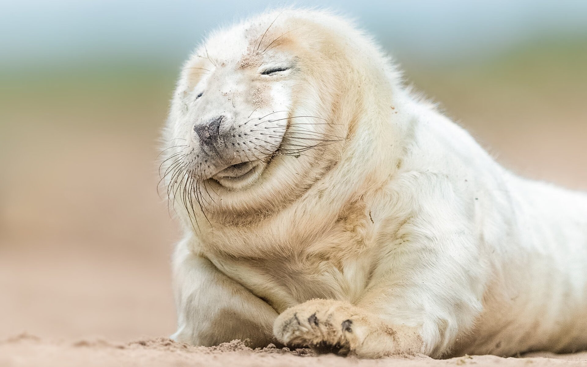 米兰双雄奋勇拼搏,意甲争冠局势紧张